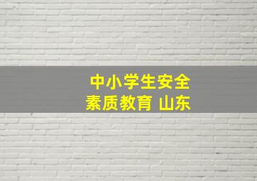 中小学生安全素质教育 山东